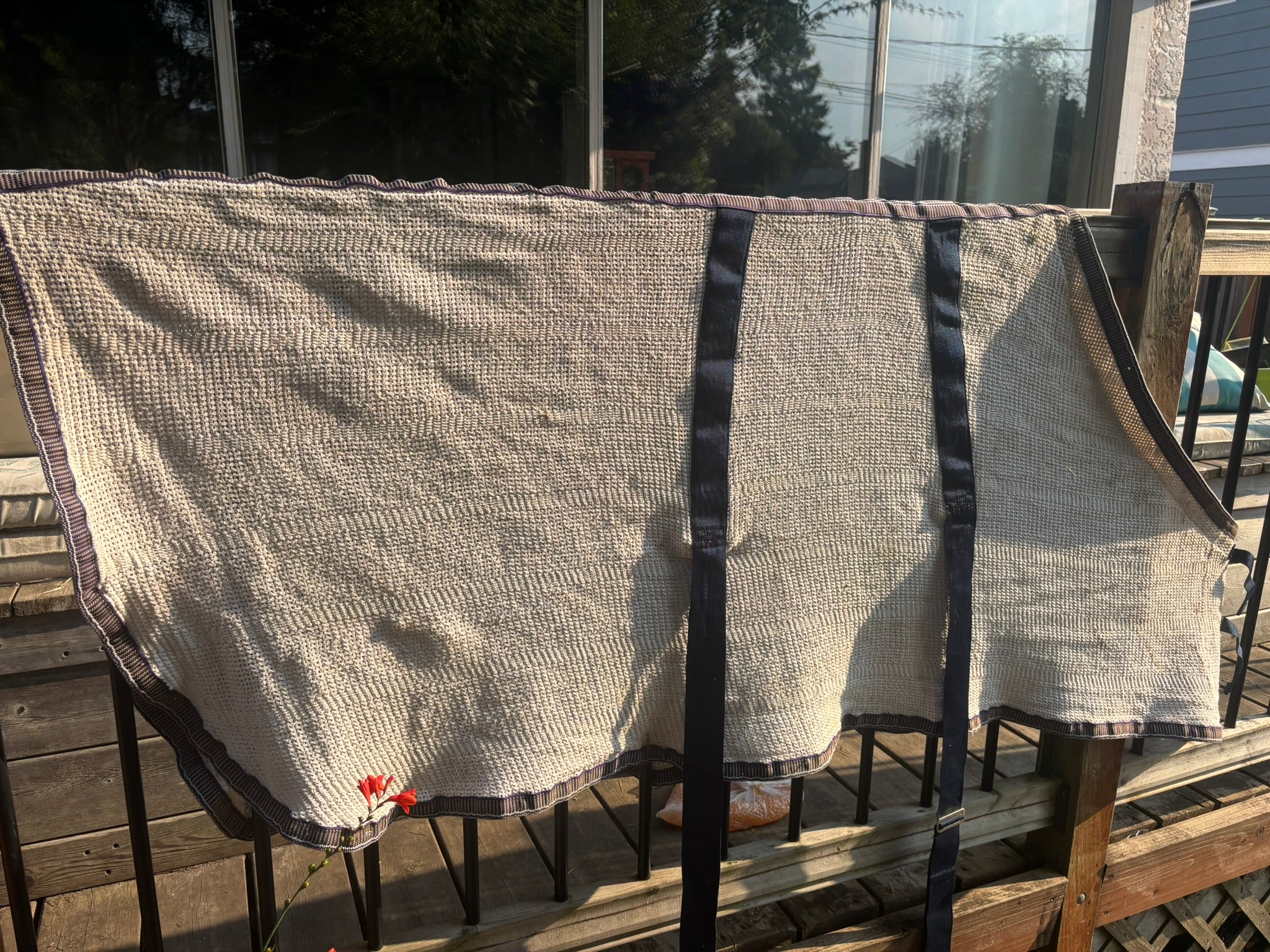 Blanket - Original Brand Cooler