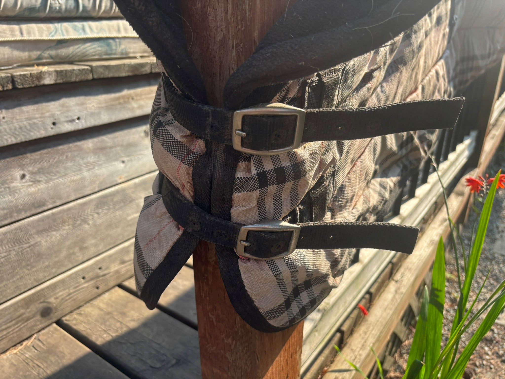 Blanket - Plaid