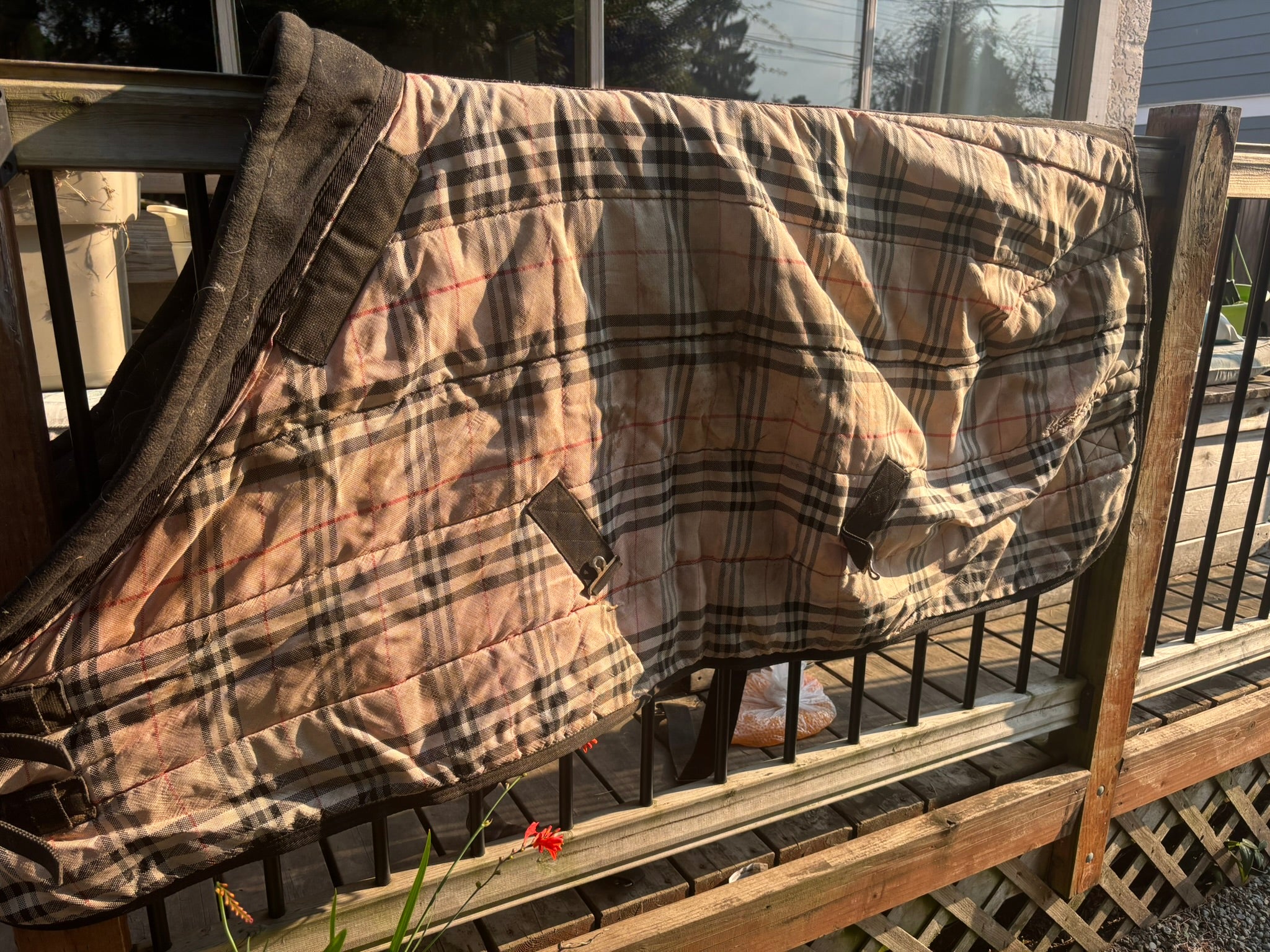 Blanket - Plaid