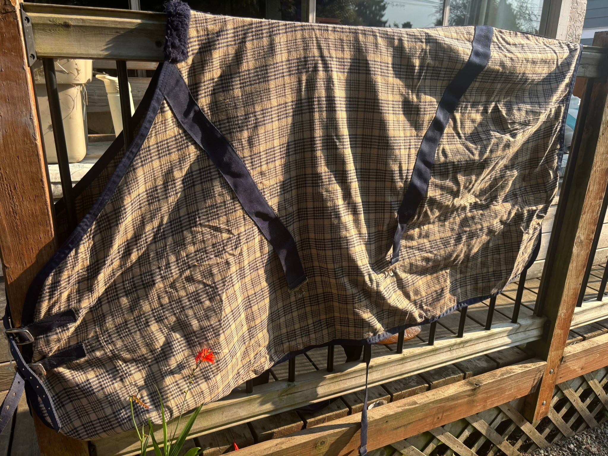 Blanket - Blue Plaid Stable Sheet - 60"