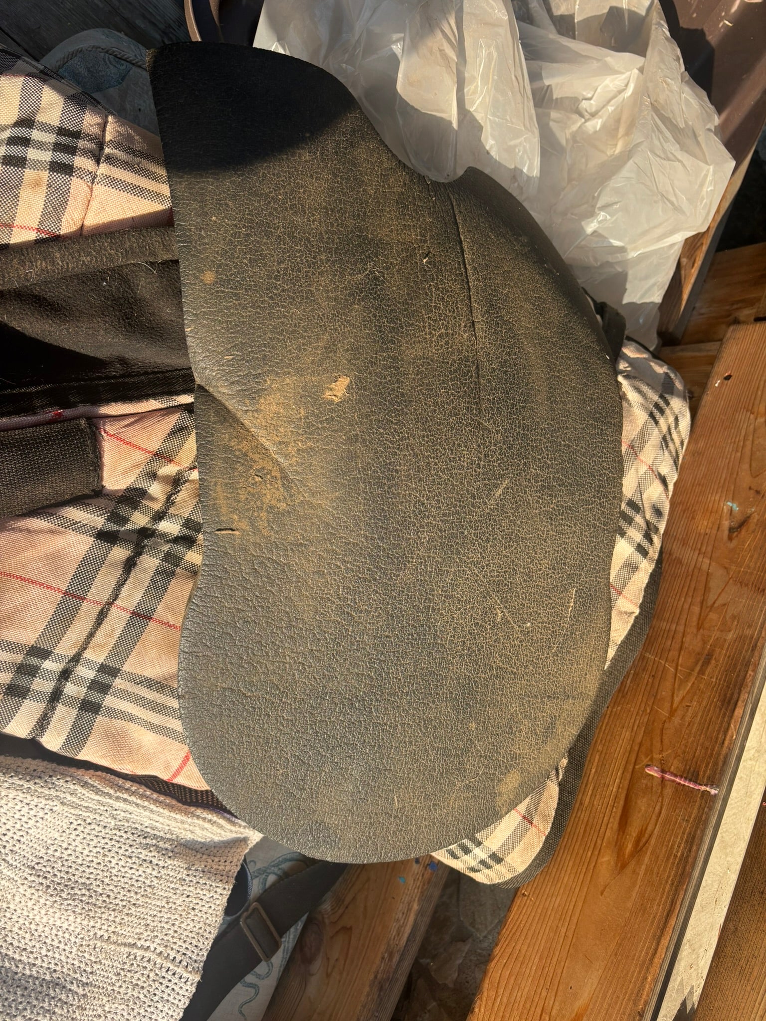 Saddle Pad - Cashel Foam