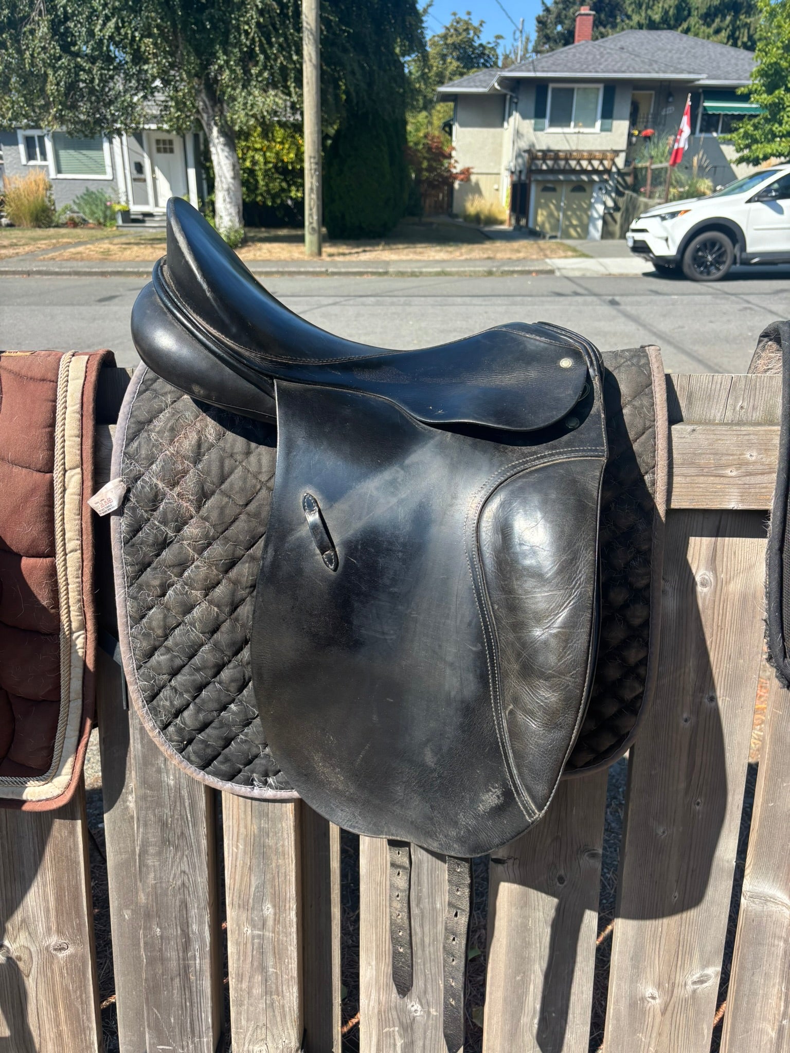 Passier Dressage Saddle - Hannover - 17.5"