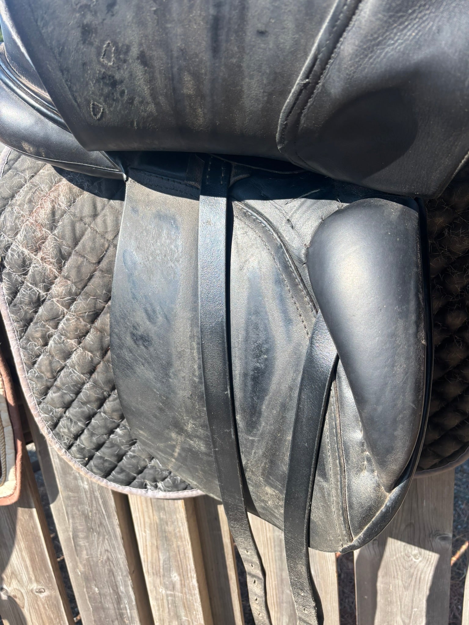 Passier Dressage Saddle - Hannover - 17.5"