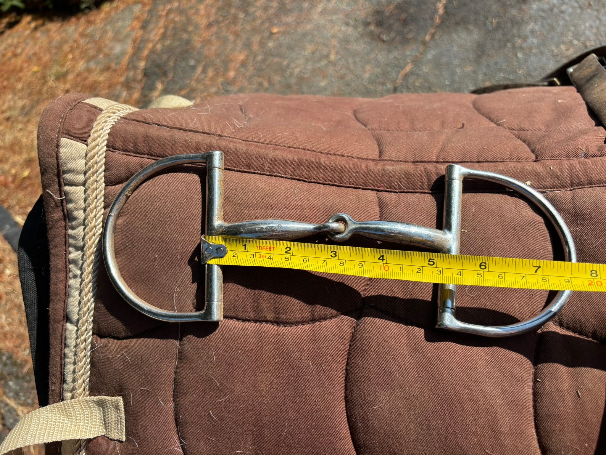 Bit - D-Ring Snaffle