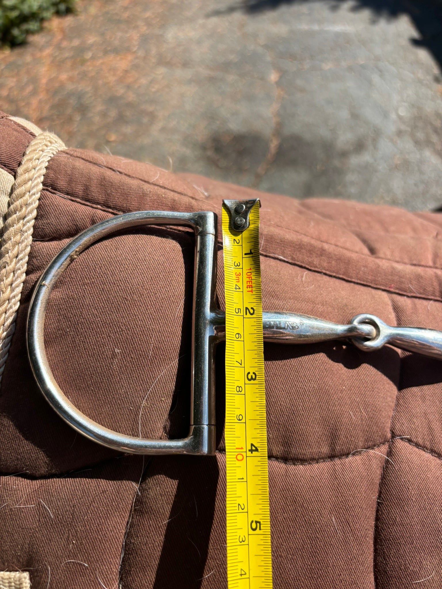 Bit - D-Ring Snaffle