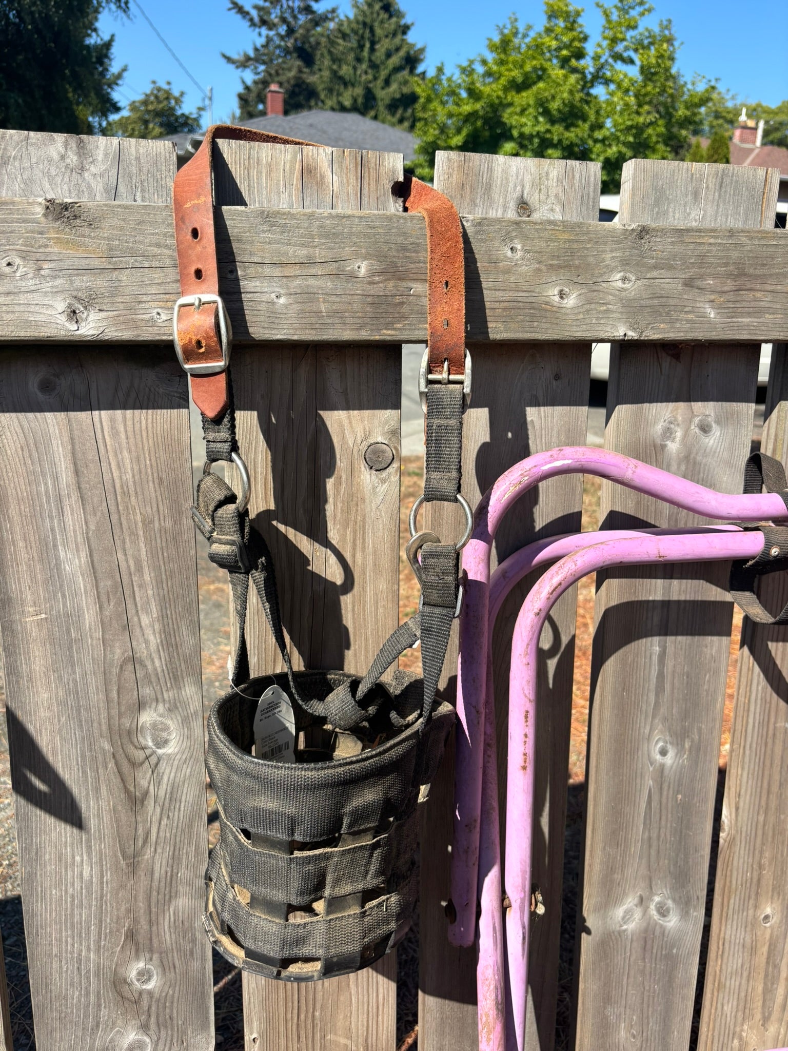 Grazing Muzzle