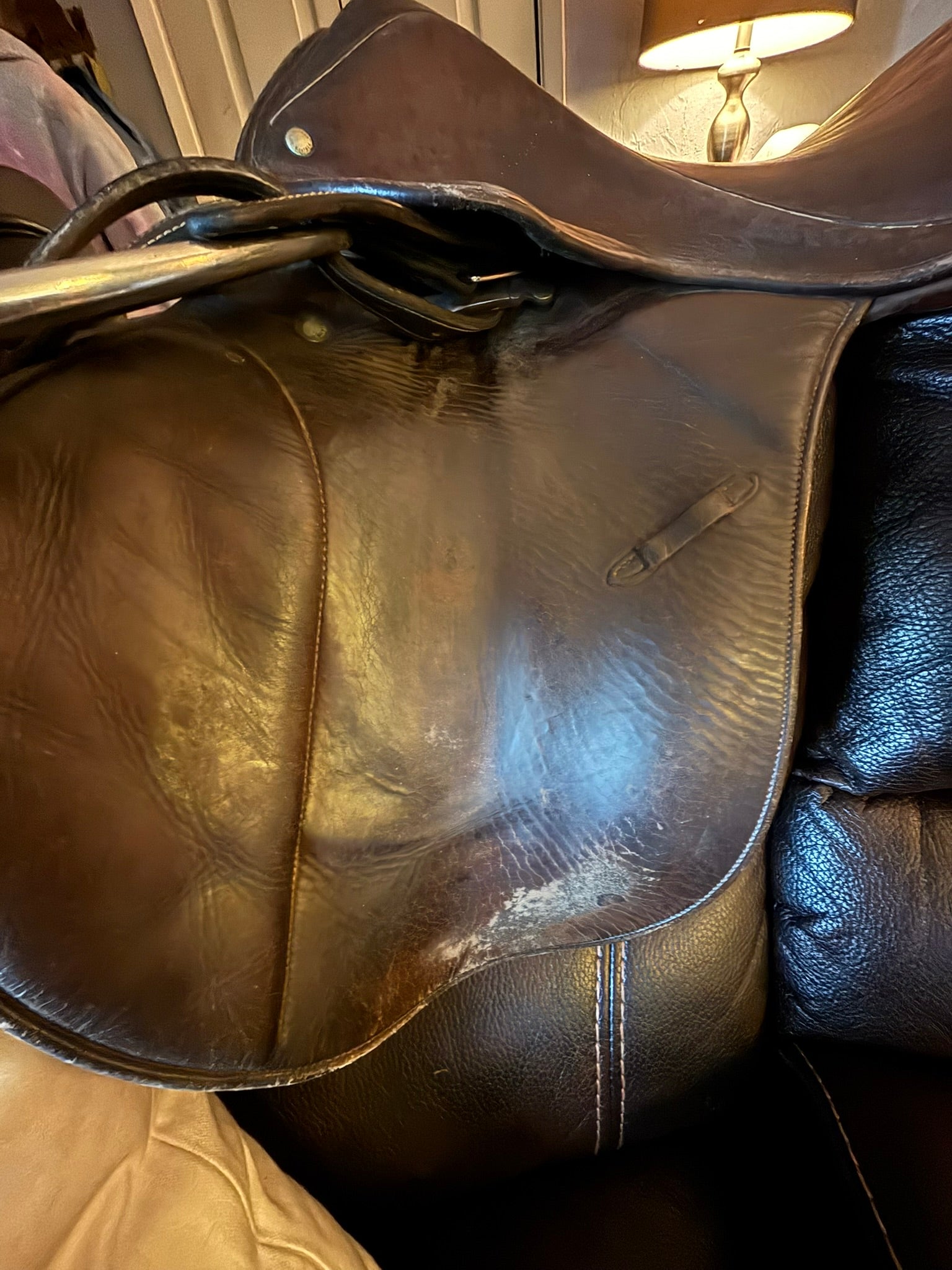 Stubben Parvizal Jumping Saddle - 17.5"