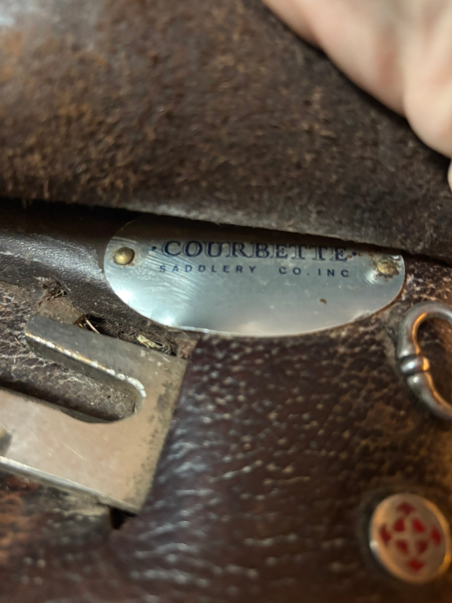 Courbette Derby Jumping Saddle - 16"