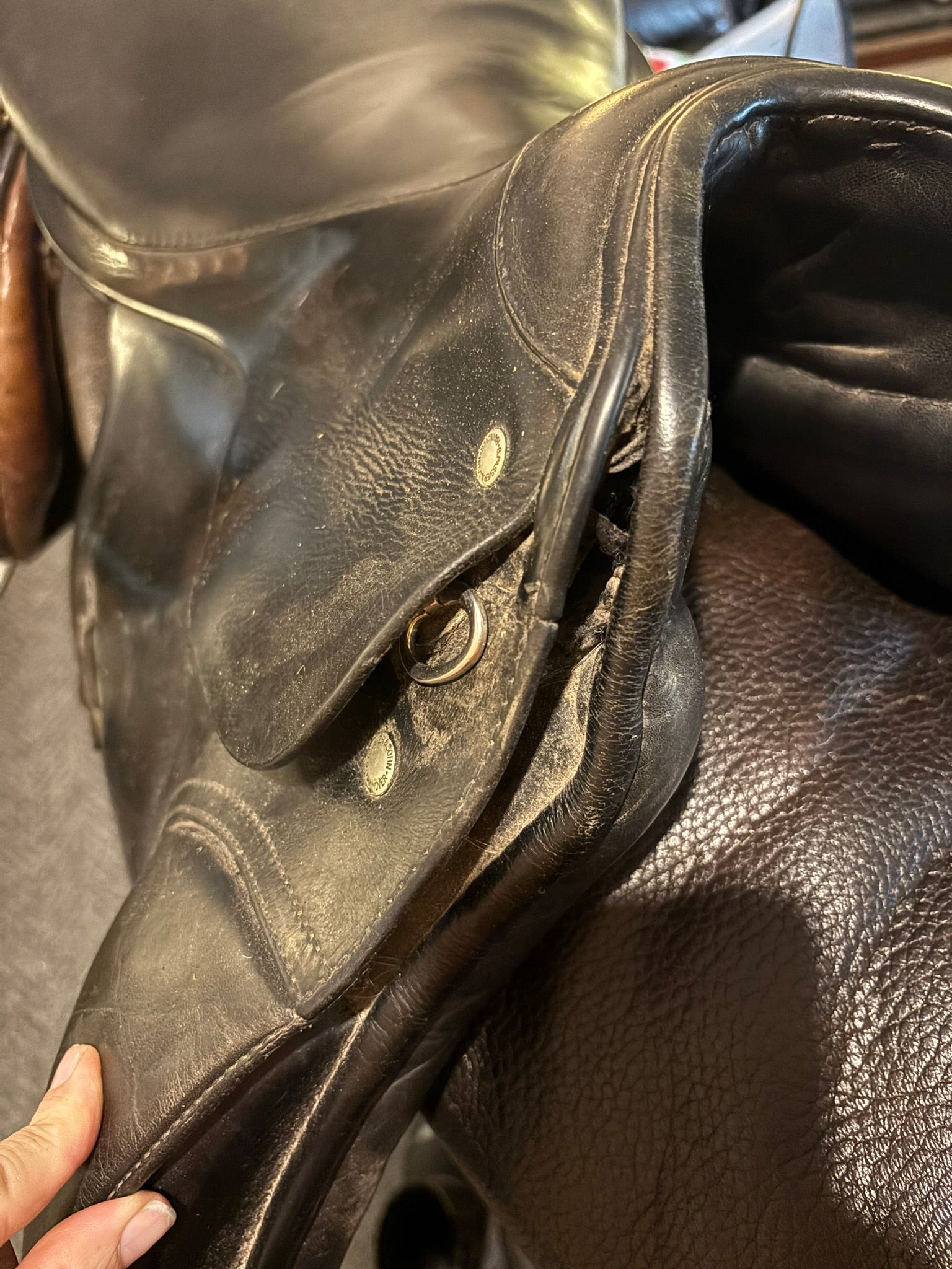 Passier Dressage Saddle - Hannover - 17.5"